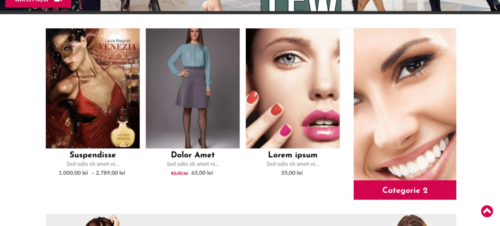 Design Online Store - magazin online la cheie WooCommerce Florentinailiescu.com